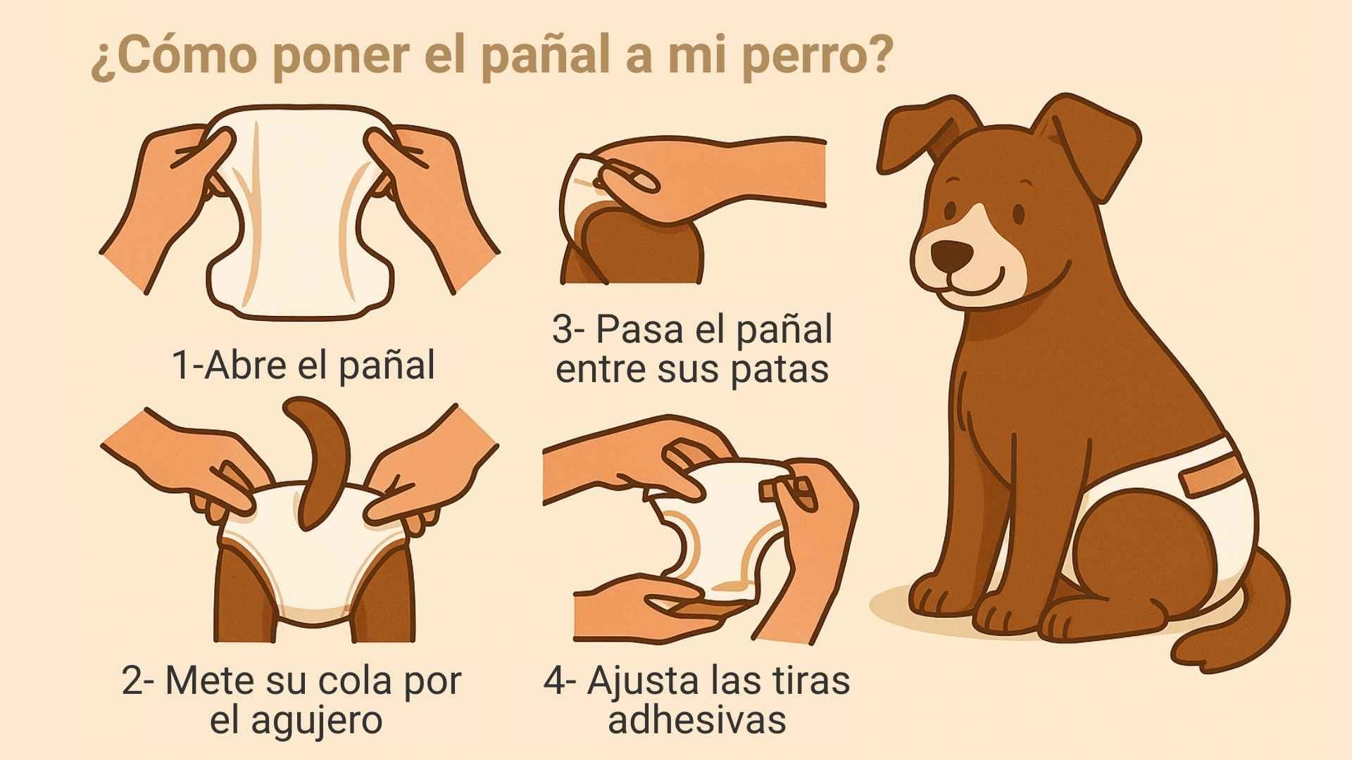 Perros con pañal
